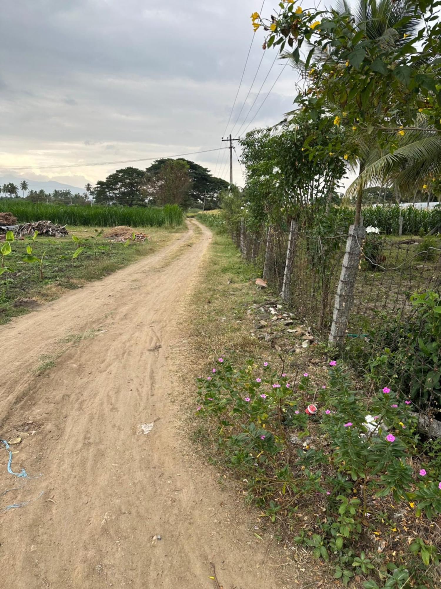 Sakthi Garden Home Stay Erode Luaran gambar