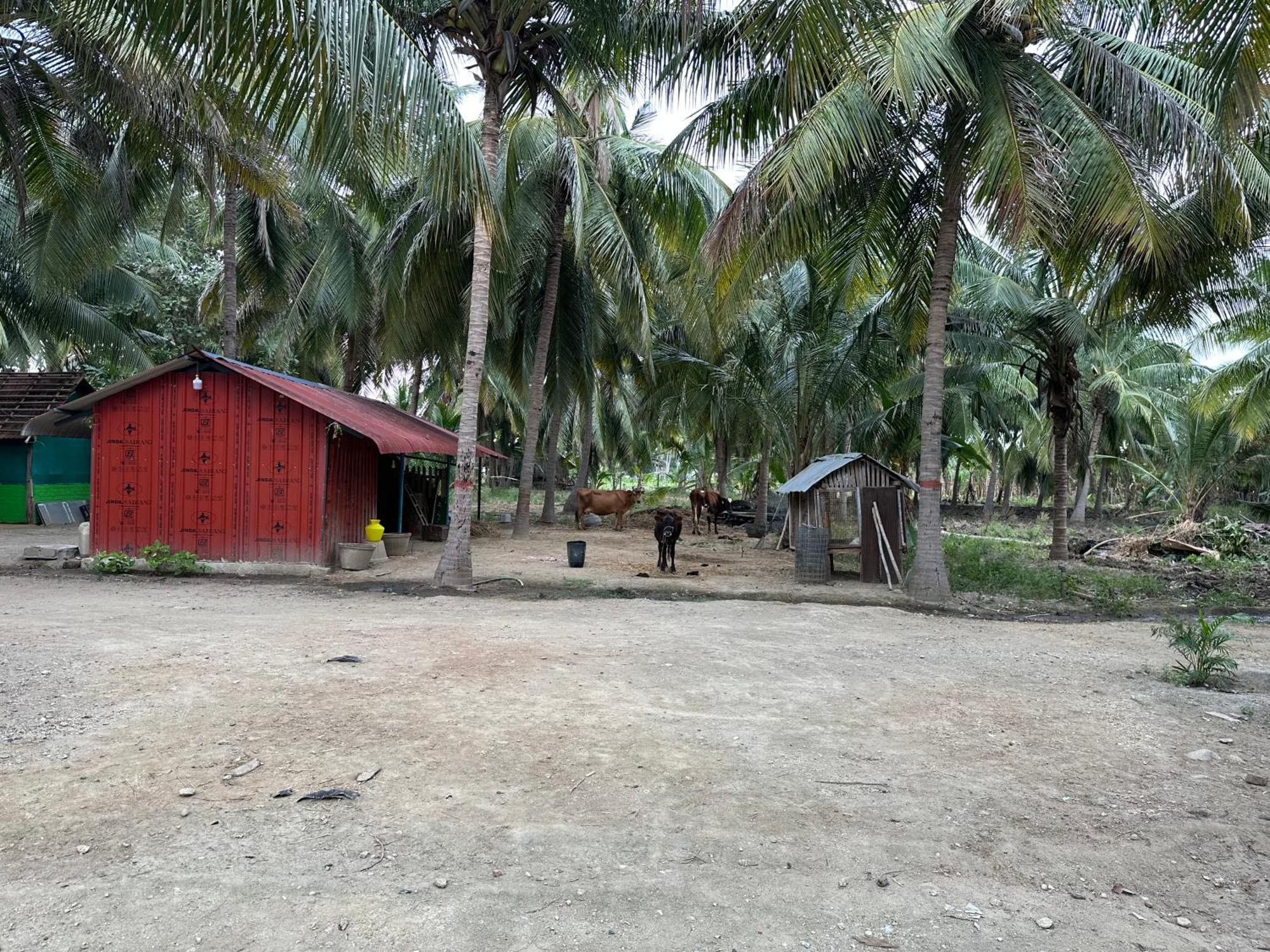 Sakthi Garden Home Stay Erode Luaran gambar